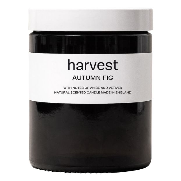 Bougie parfumée Autumn Fig - 200 g-product