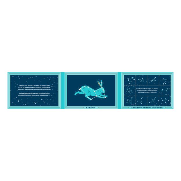 Livre Des Animaux Dans Le Ciel - Sara Gillingham-product