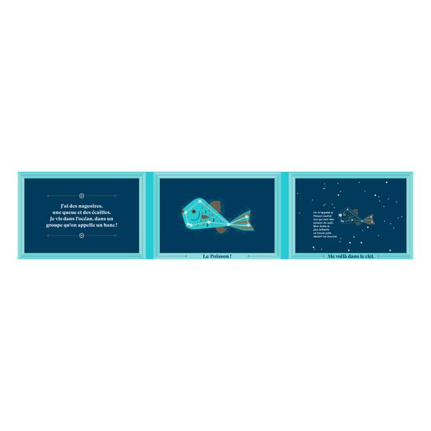 Livre Des Animaux Dans Le Ciel - Sara Gillingham-product