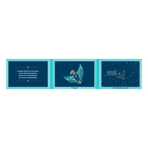 Livre Des Animaux Dans Le Ciel - Sara Gillingham-product