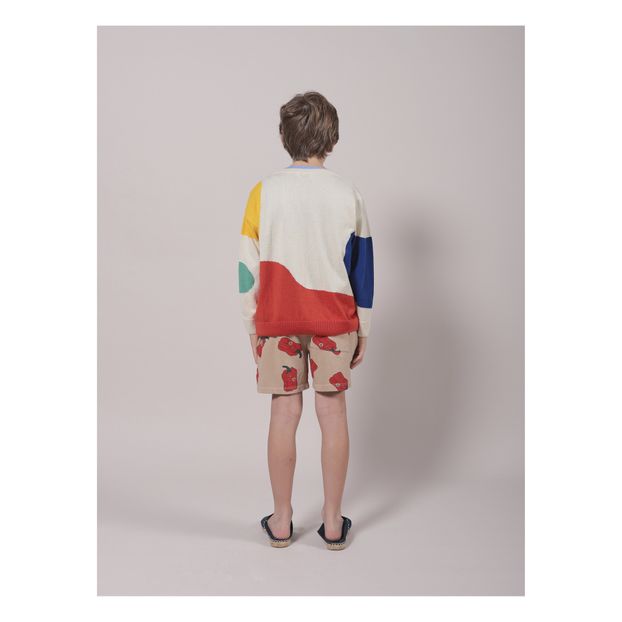 Pull Coton Bio Peinture-product