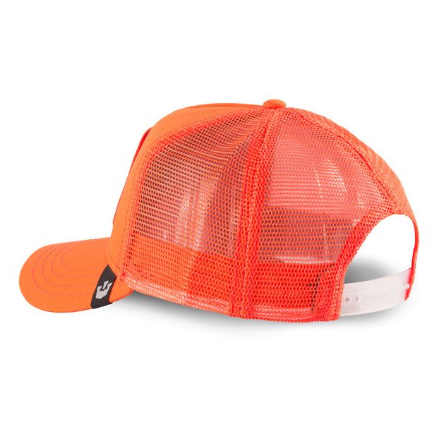Lion King Cap -product