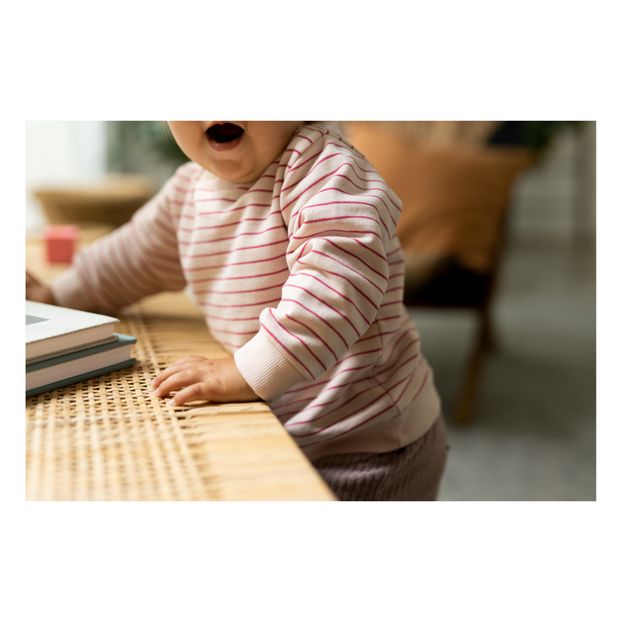 Sonny Organic Cotton Jumper -product