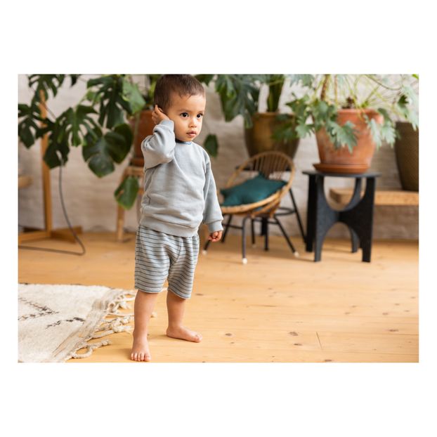Sweat Coton Bio Soma-product