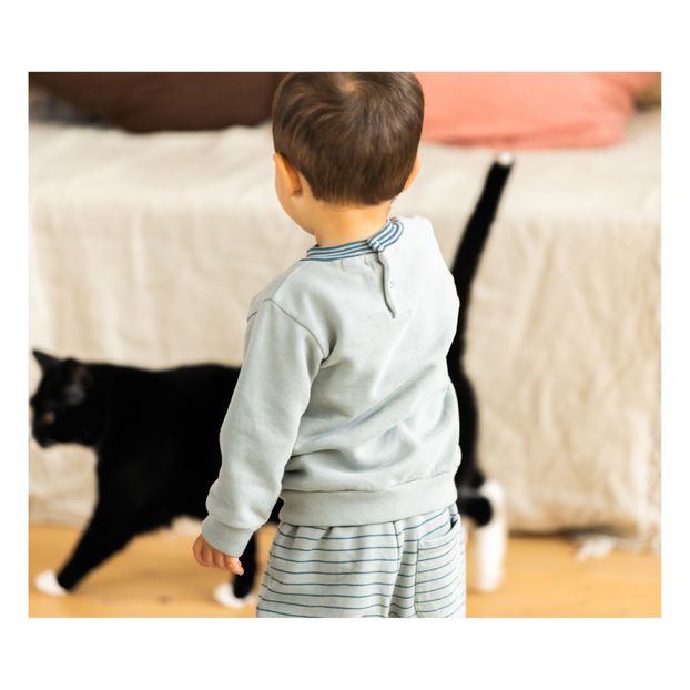 Sweat Coton Bio Soma-product