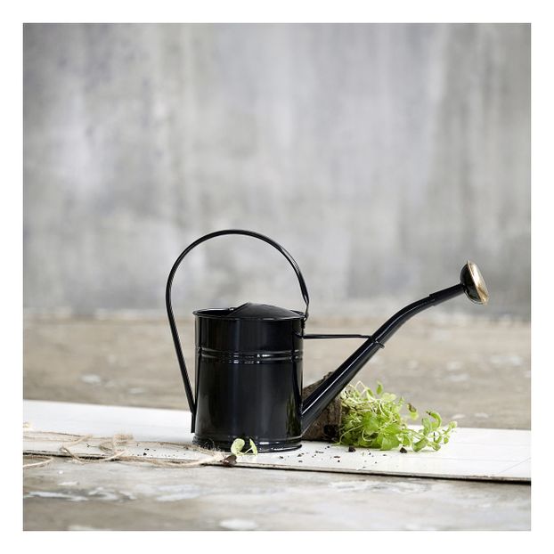 Arrosoir en métal-product