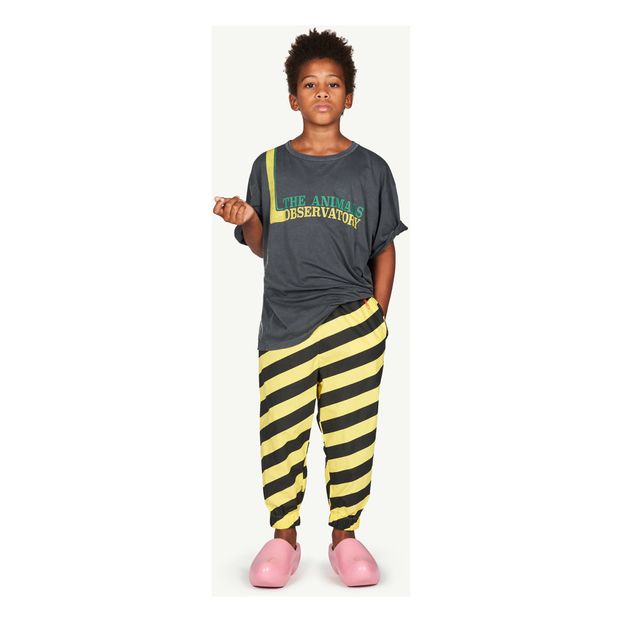 T-shirt Rooster Oversize TAO-product
