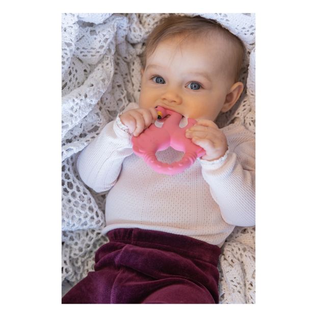 Anneau de dentition Flamant rose-product
