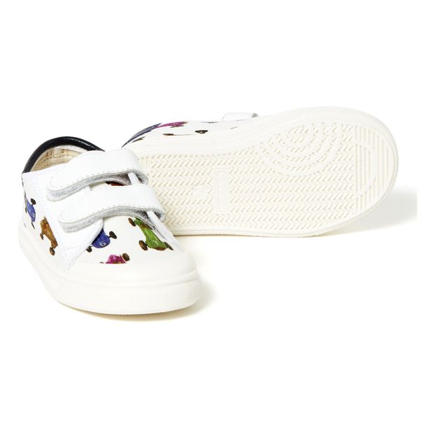 Baskets Scratchs-product