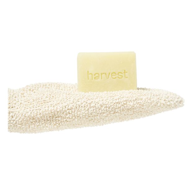Jabón de jazmín y caléndula con guante exfoliante - 100 g-product