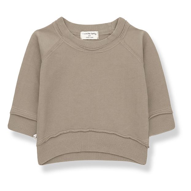 Tristan Sweatshirt -product