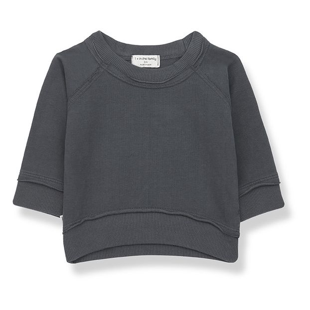 Tristan Sweatshirt -product