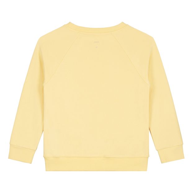 Suéter Crewneck algodón orgánico-product