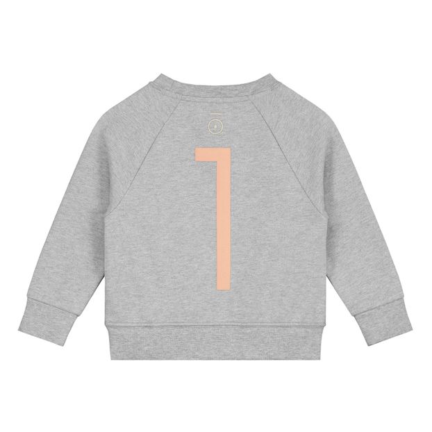 Suéter Gray Label Anniversary 1 algodón orgánico-product
