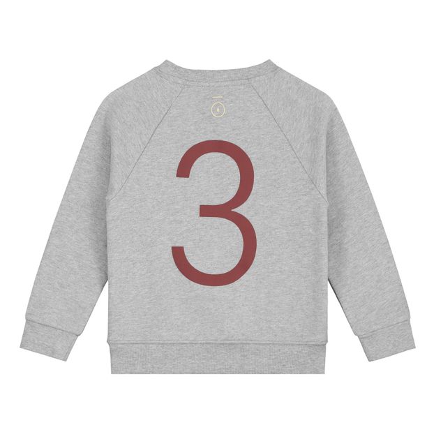 Sweat Gray Label Anniversary 3 Coton Bio-product