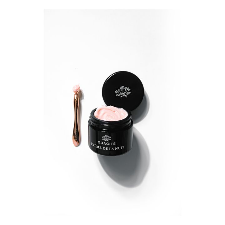Ashwagandha Vitamin C + Night Cream - 50ml- Product image n°1