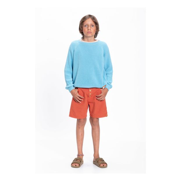 Pull Leone D'Or Coton Bio-product