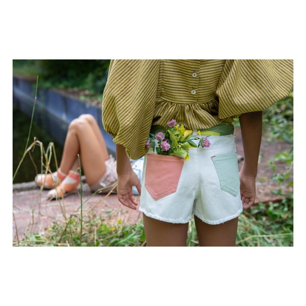 Tricolour Shorts -product
