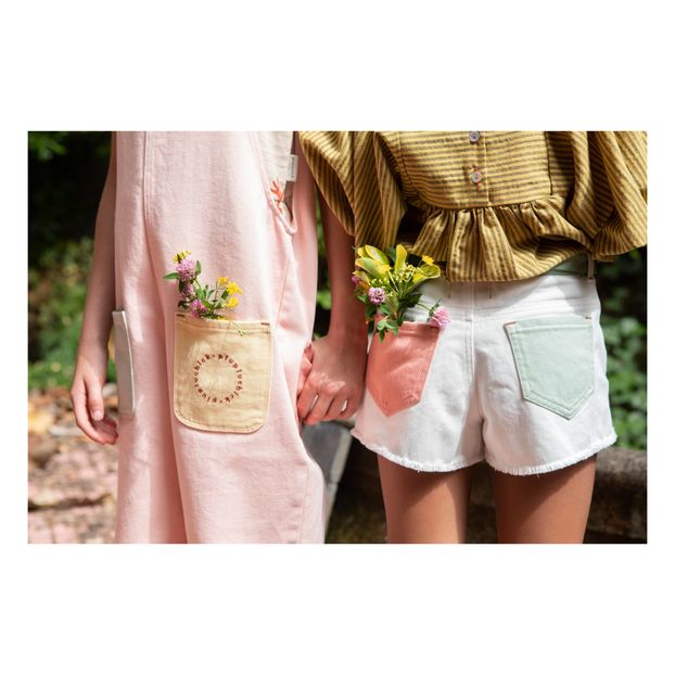 Tricolour Shorts -product
