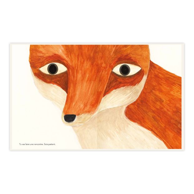 Livre En Forêt - Maria Dek-product