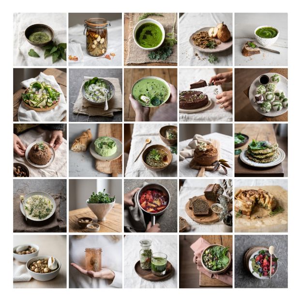 Book - Wild Therapy, recettes et remèdes maison à base de plantes sauvages - FR-product