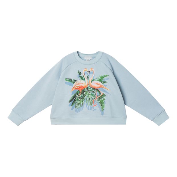 Suéter algodón orgánico Cropped Flamencos-product