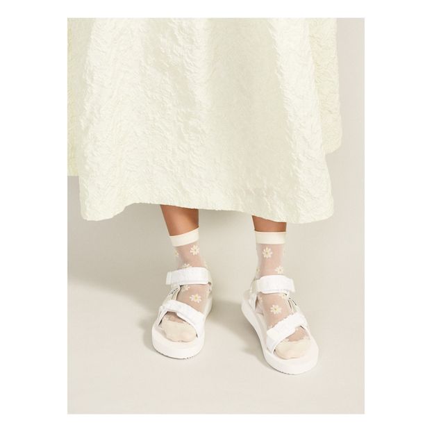 Calcetines Dorothy Sheer-product