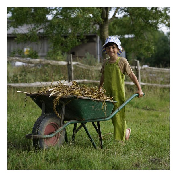 Peto Lino Alamo-product