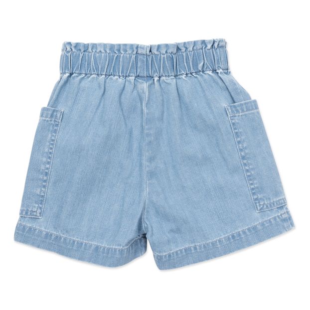 Clovis Embroidered Shorts -product