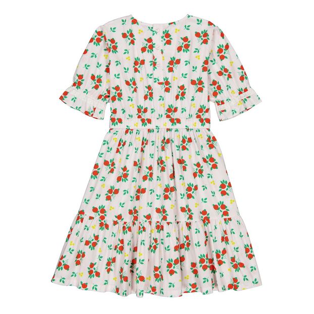 Samantha Long Dress -product