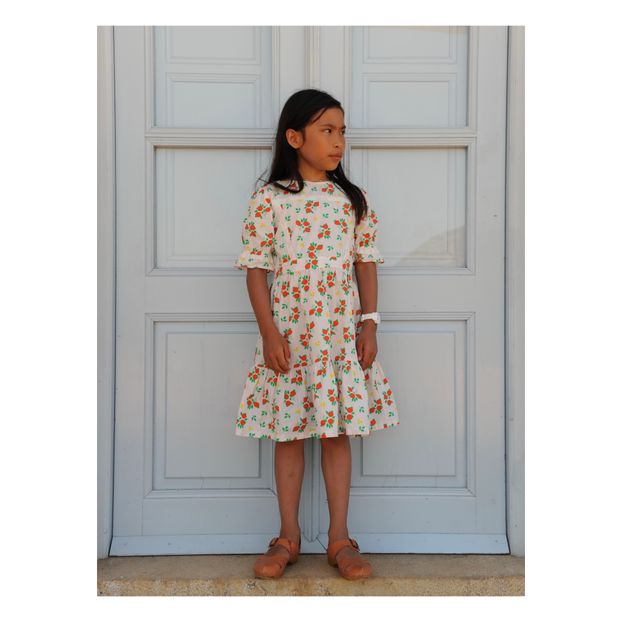 Samantha Long Dress -product