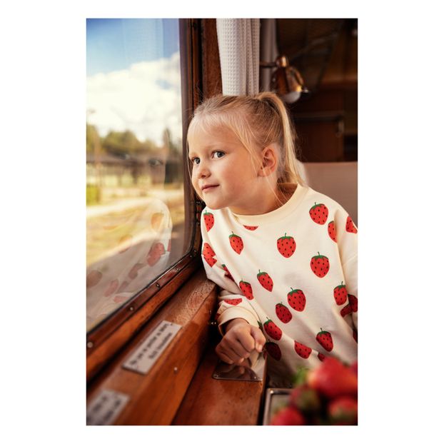 Organic Cotton Strawberry Sweatshirt -product