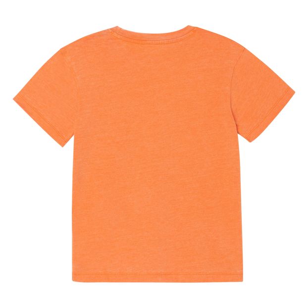 Camiseta Live Concert-product