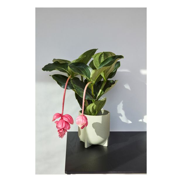 Pot en céramique - Set de 2-product