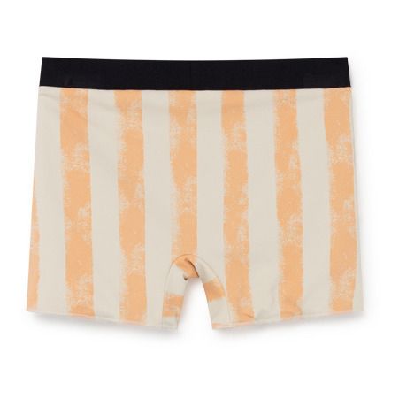 Carrousel Swim Trunks -product