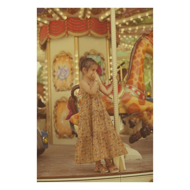 Carinette Dress -product