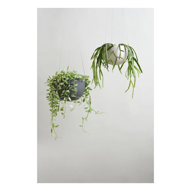 Pot à suspendre-product