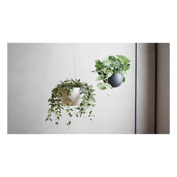 Hanging Pot-product
