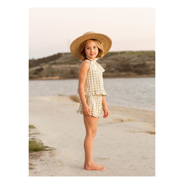 Beehive Vichy Shorts -product