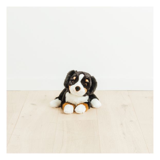 My Dog Ferdinand Soft Toy -product