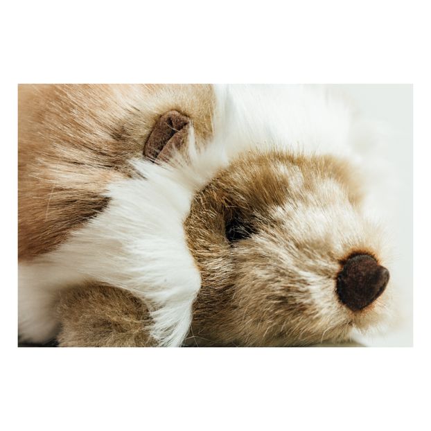 My Hedgehog Alfred Soft Toy -product