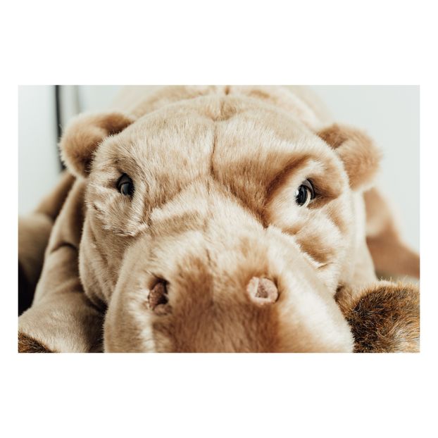 My Hippo Edgar Soft Toy-product