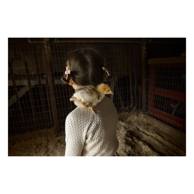 Pullover Lou algodón orgánico-product