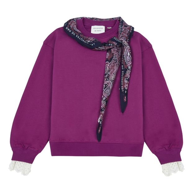 Sweat Cie Manches Dentelle-product