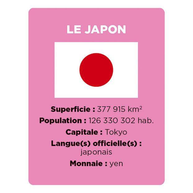 Jeu Cherche et Trouve - Drapeaux-product