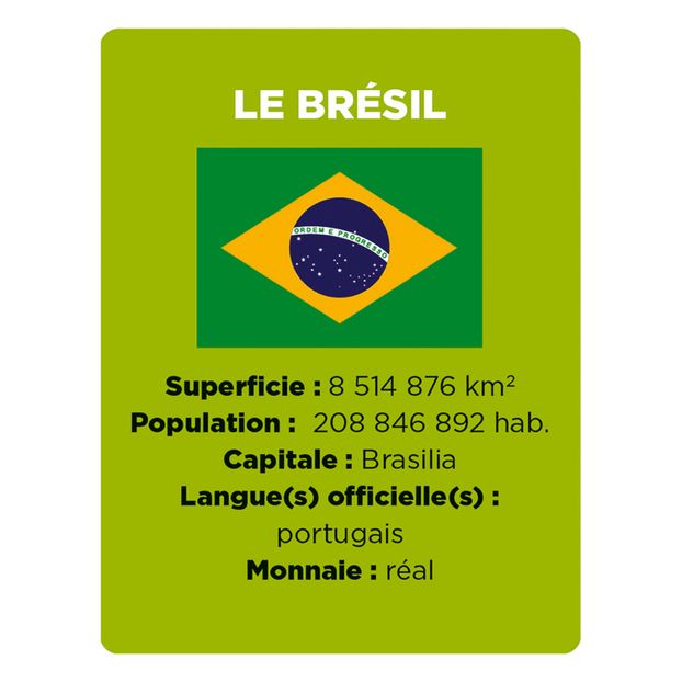 Jeu Cherche et Trouve - Drapeaux-product