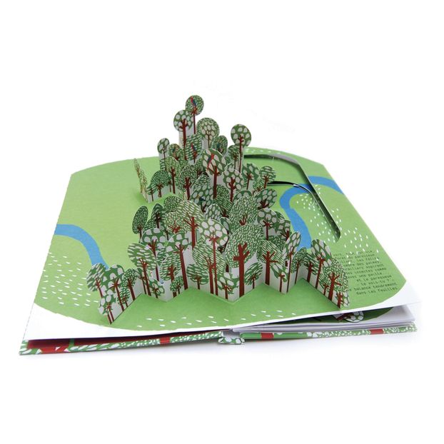Livre Dans la Forêt du Paresseux - A.Boisrobert & L.Rigaud-product