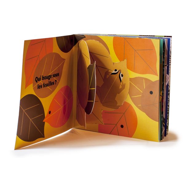 Livre Grenouille, Où Es-tu ? Olivia Cosneau-product