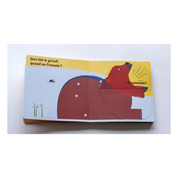 Livre Grizzli, Que Fais-tu ? Olivia Cosneau-product