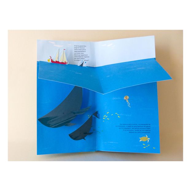 Libro Océano - A.maderarobert & L.Rigaud-product